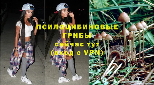 соль ск Бугульма